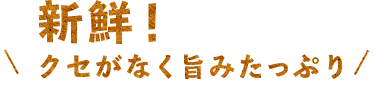 新鮮！クセがなく旨みたっぷり