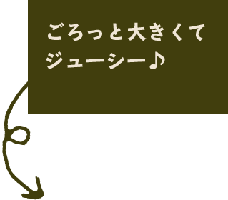 ごろっと大きくて ジューシー